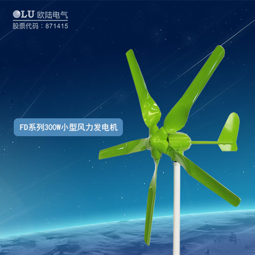 FD系列300W小型風力發電機